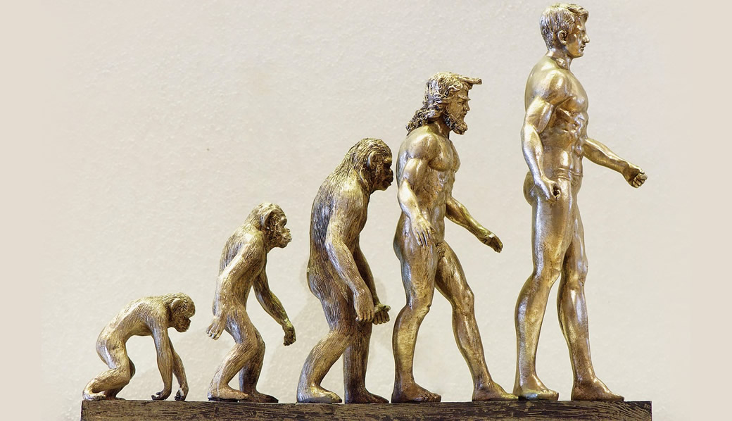 Process of continuous evolution.